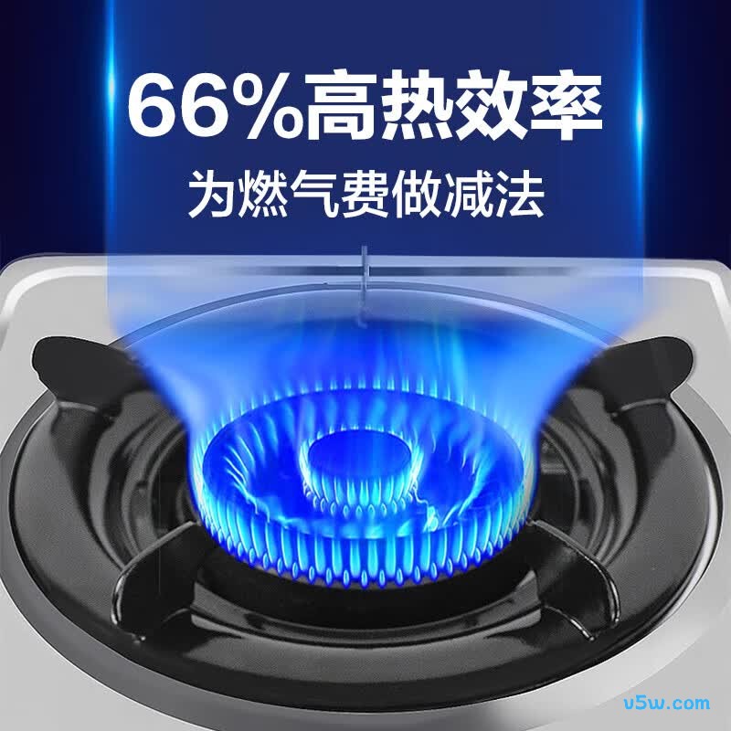 樱雪T2321液化气灶然气灶图片