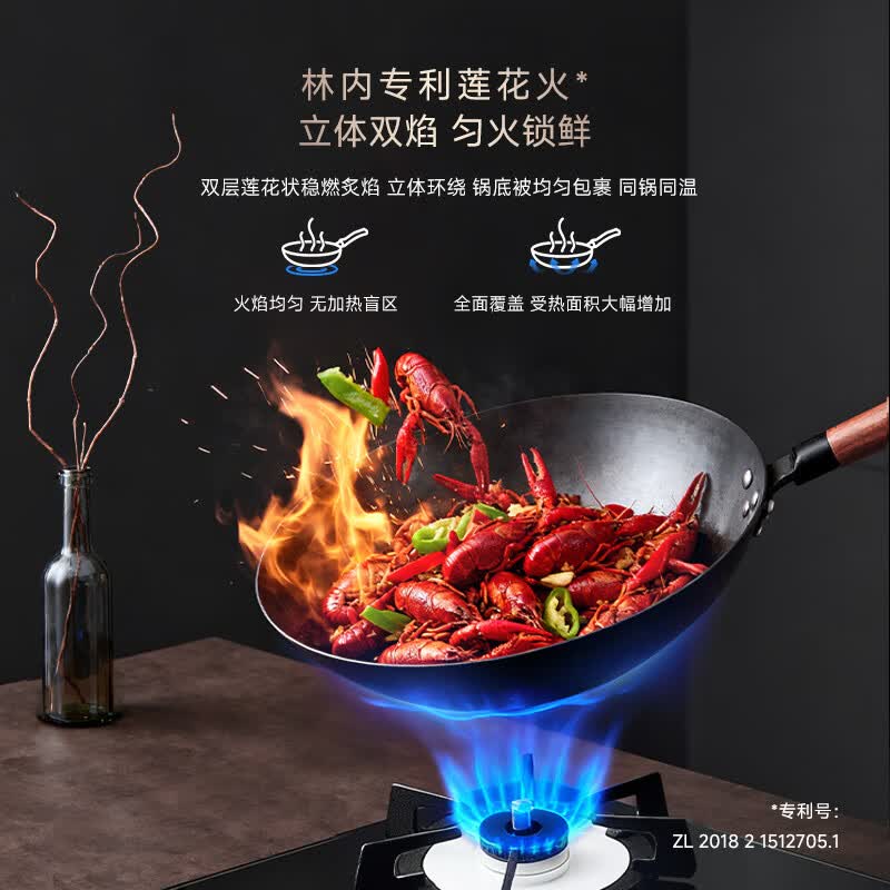 林内2ERLS1天然气灶然气灶图片