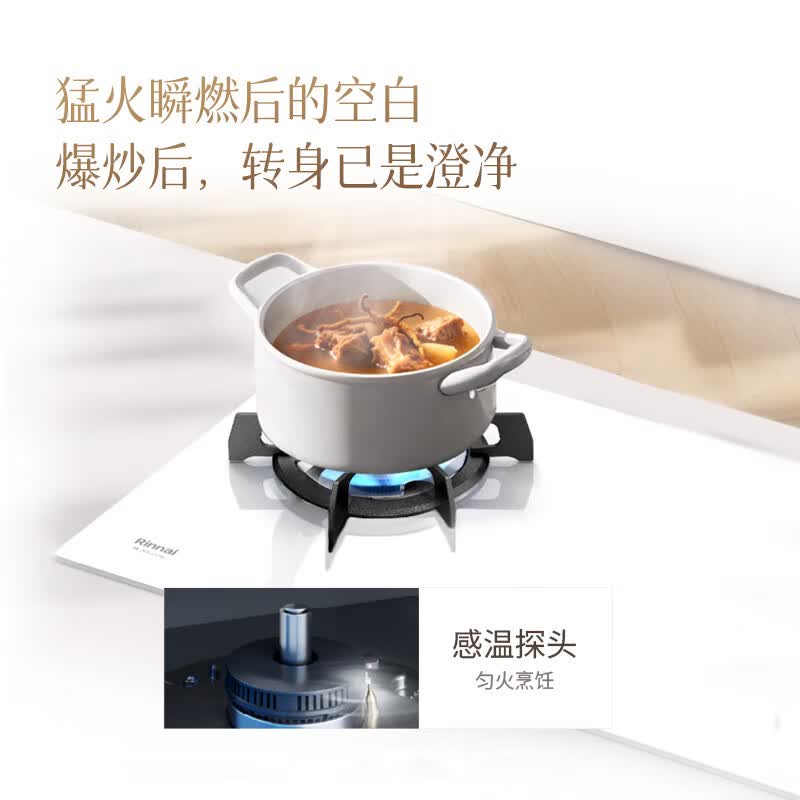 林内2ERLS1(W)天然气灶然气灶图片