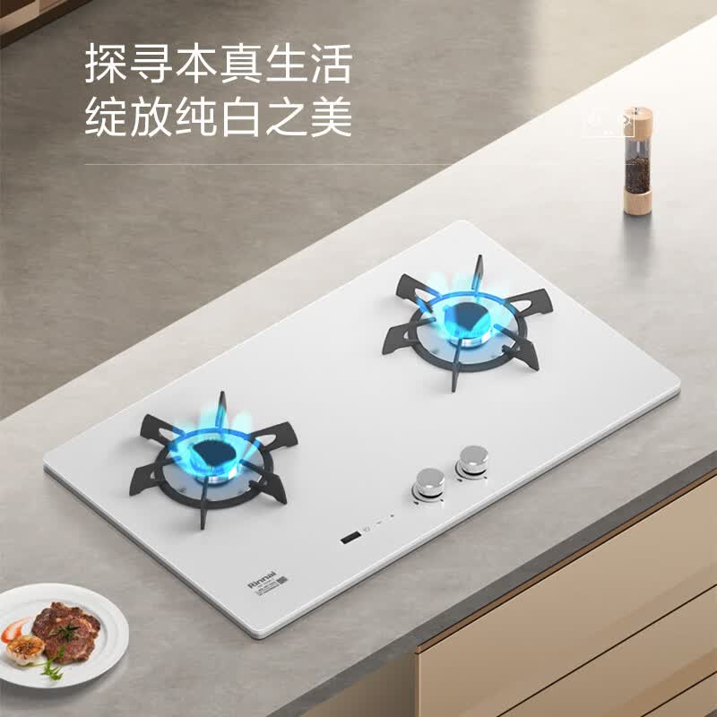 林内2E06LT(W)天然气灶然气灶图片