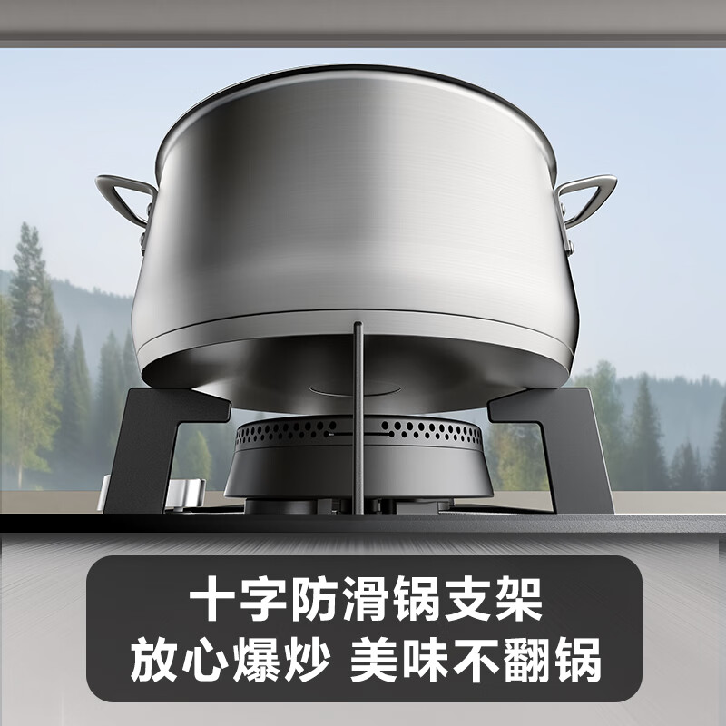 苏泊尔DS27S液化气灶然气灶图片