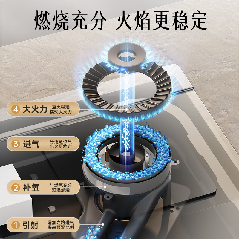荣事达Z223B天然气灶然气灶图片