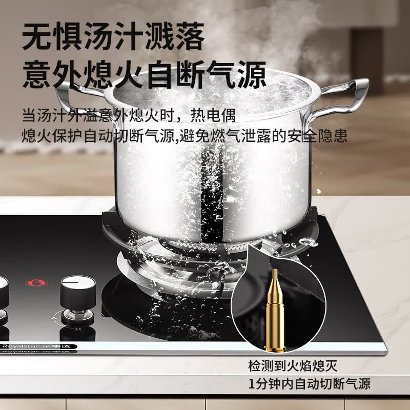 荣事达JZY-KN206J液化气灶然气灶图片