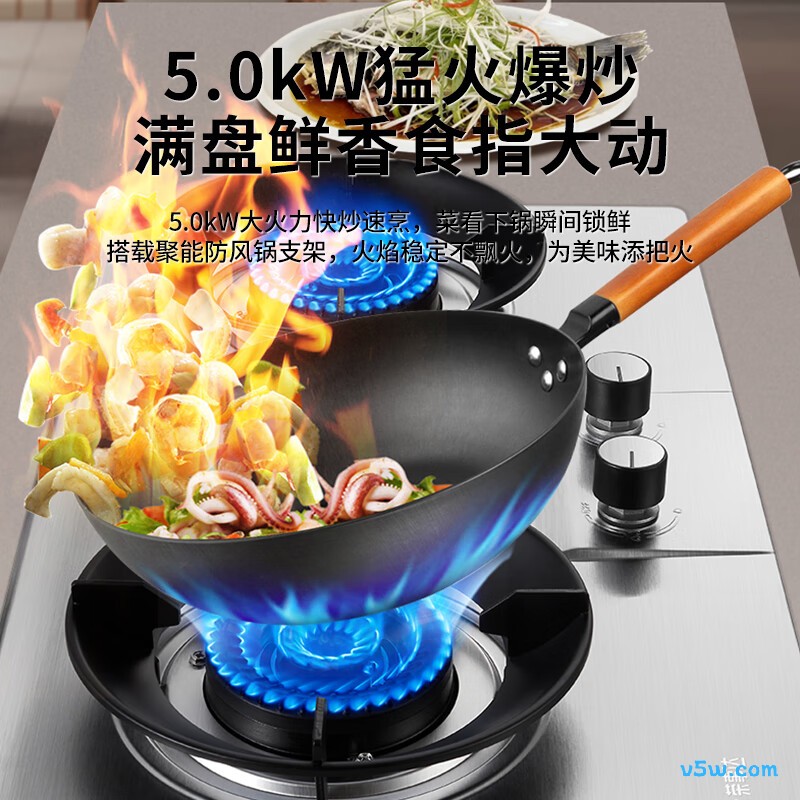 荣事达RSD-R103液化气灶然气灶图片