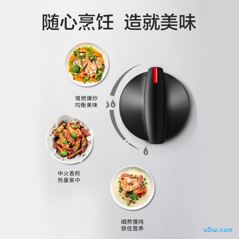 华帝i10031B天然气灶然气灶图片