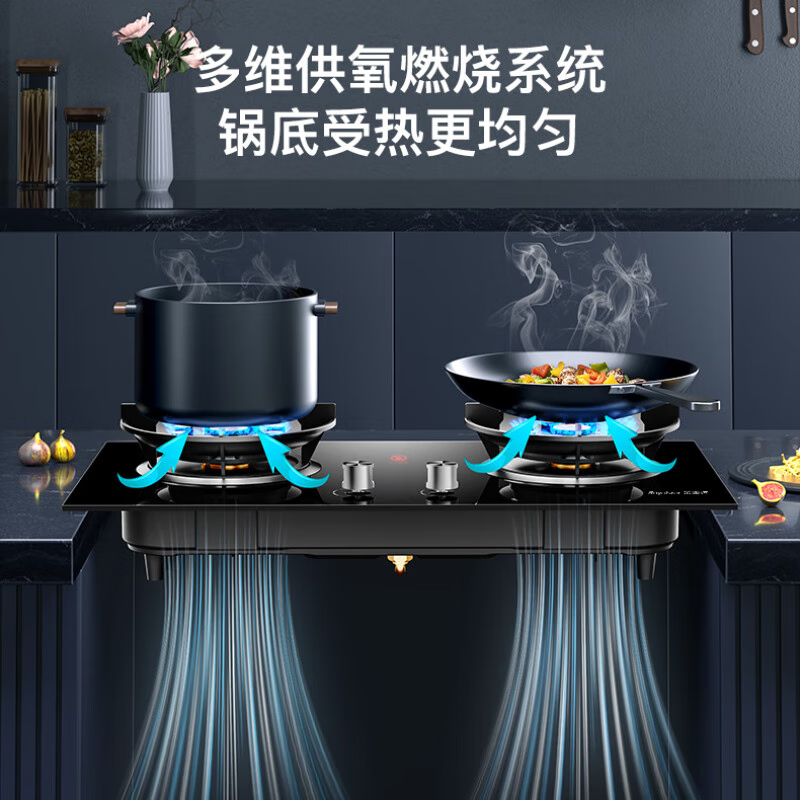 荣事达JZY-B52液化气灶然气灶图片