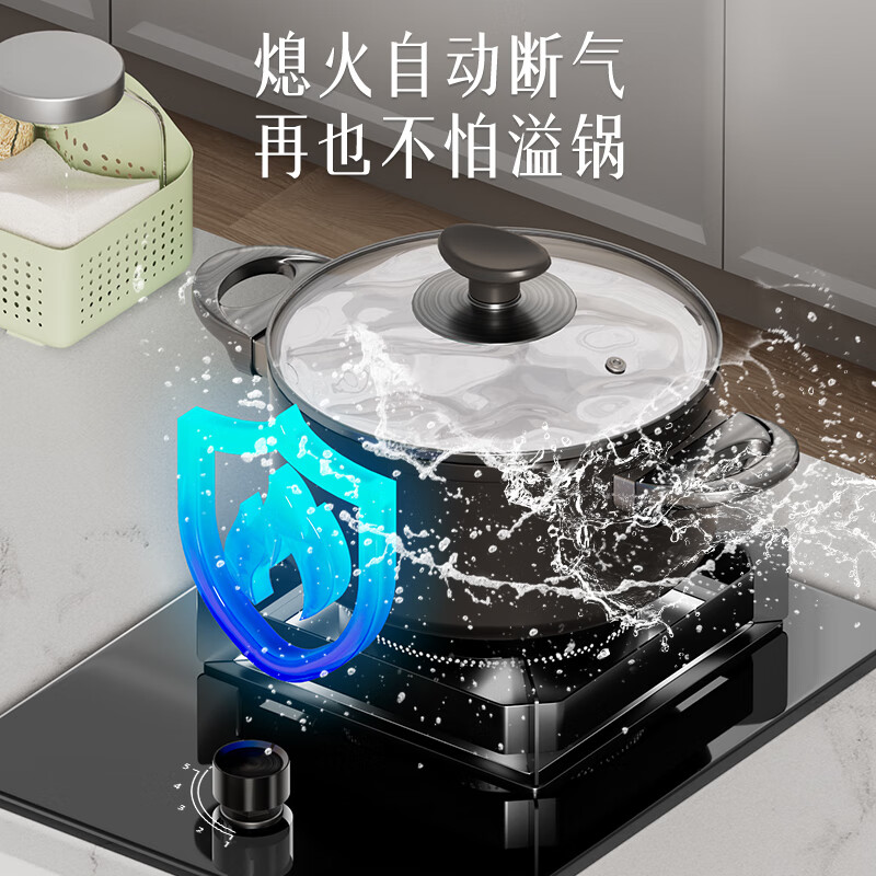 荣事达JZT-D51天然气灶然气灶图片