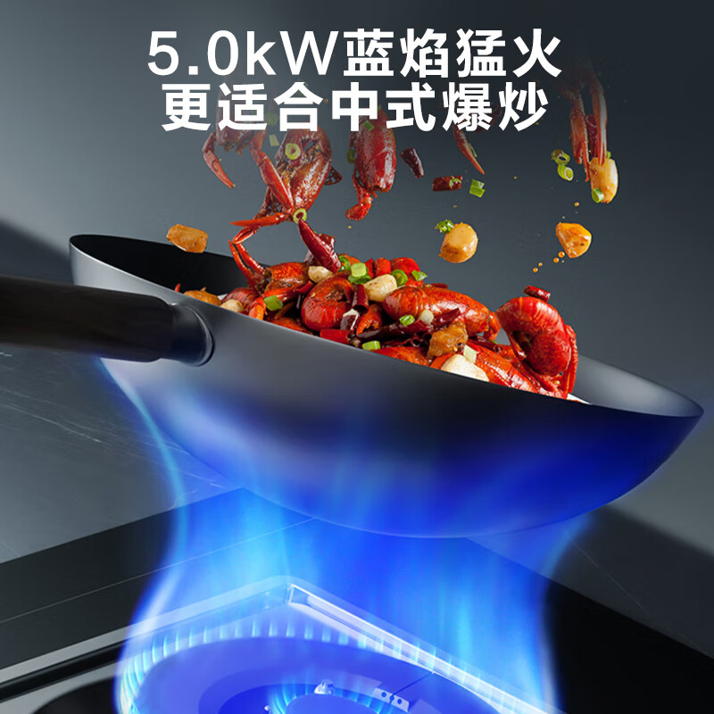 苏泊尔Q5天然气灶然气灶图片