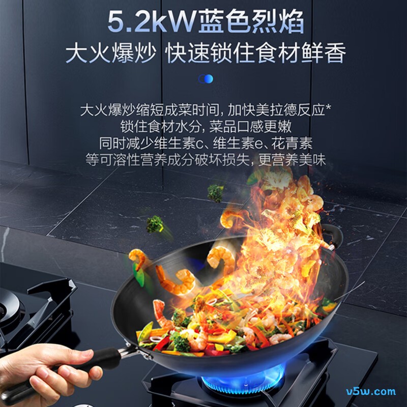 海尔Q2BE56(12T)天然气灶然气灶图片