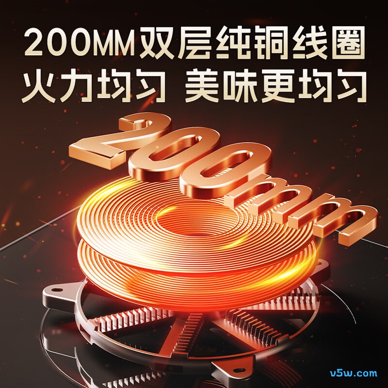 荣事达JZDT-25A1天然气灶然气灶图片
