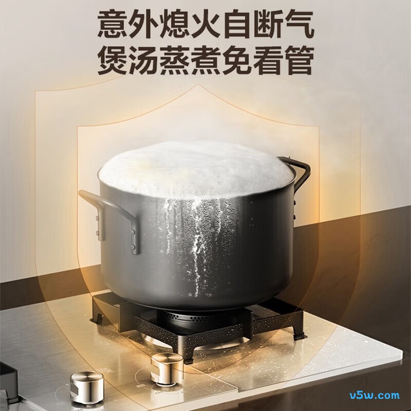 苏泊尔NS30天然气灶然气灶图片