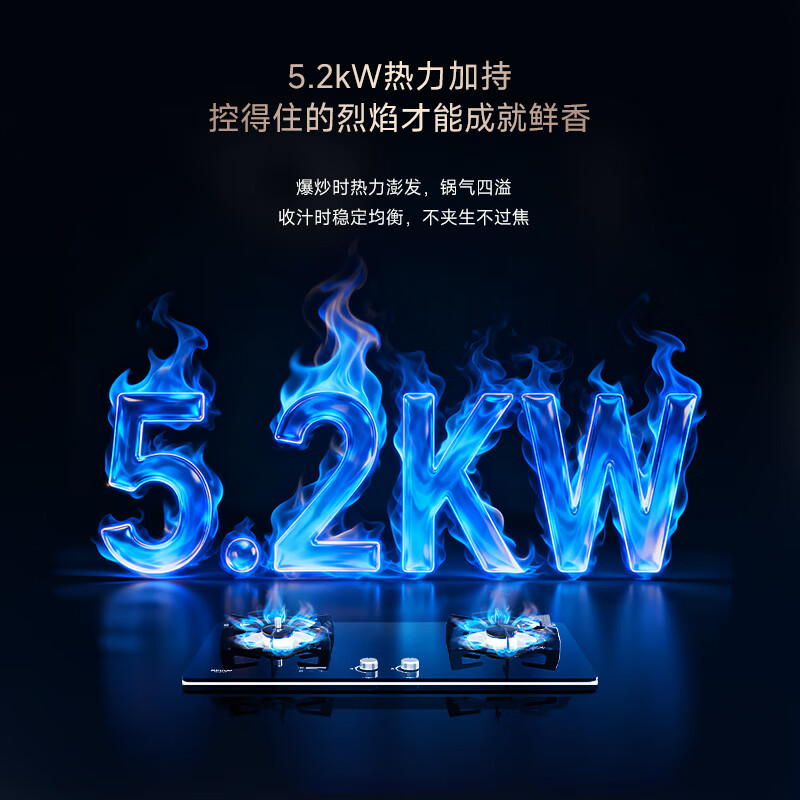 林内2ERLS1天然气灶然气灶图片