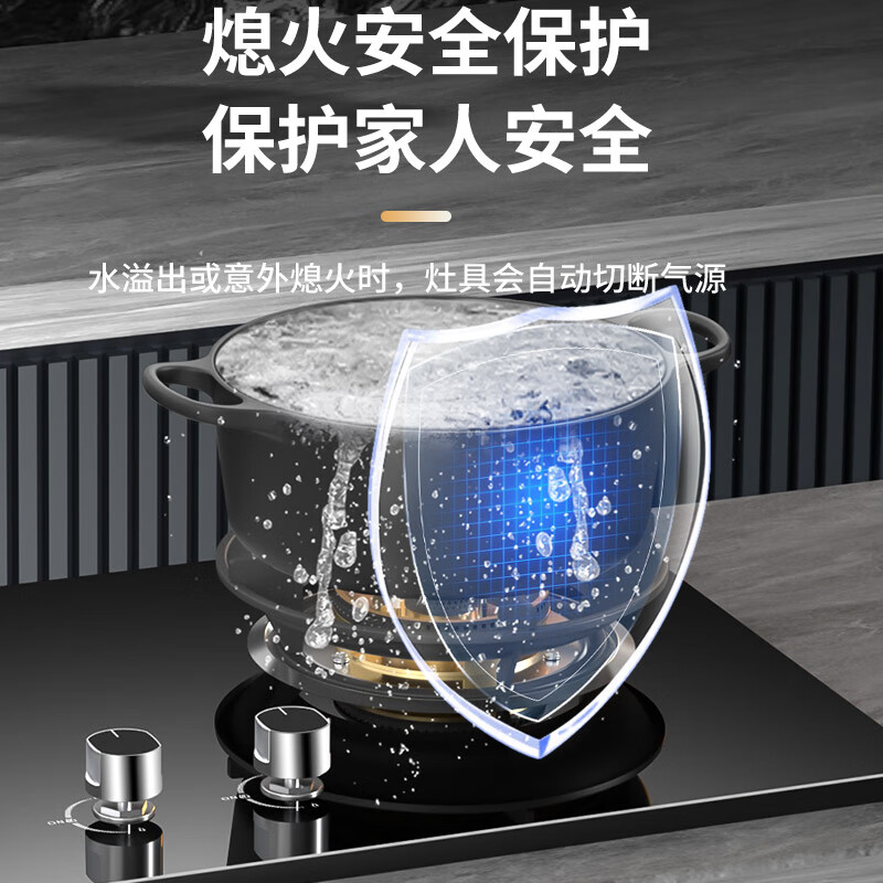 容声RLB10Y液化气灶然气灶图片