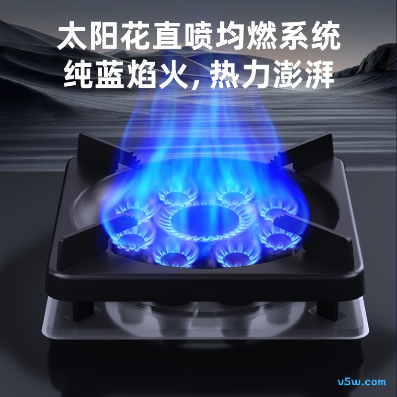 荣事达JZT-B52-A天然气灶然气灶图片