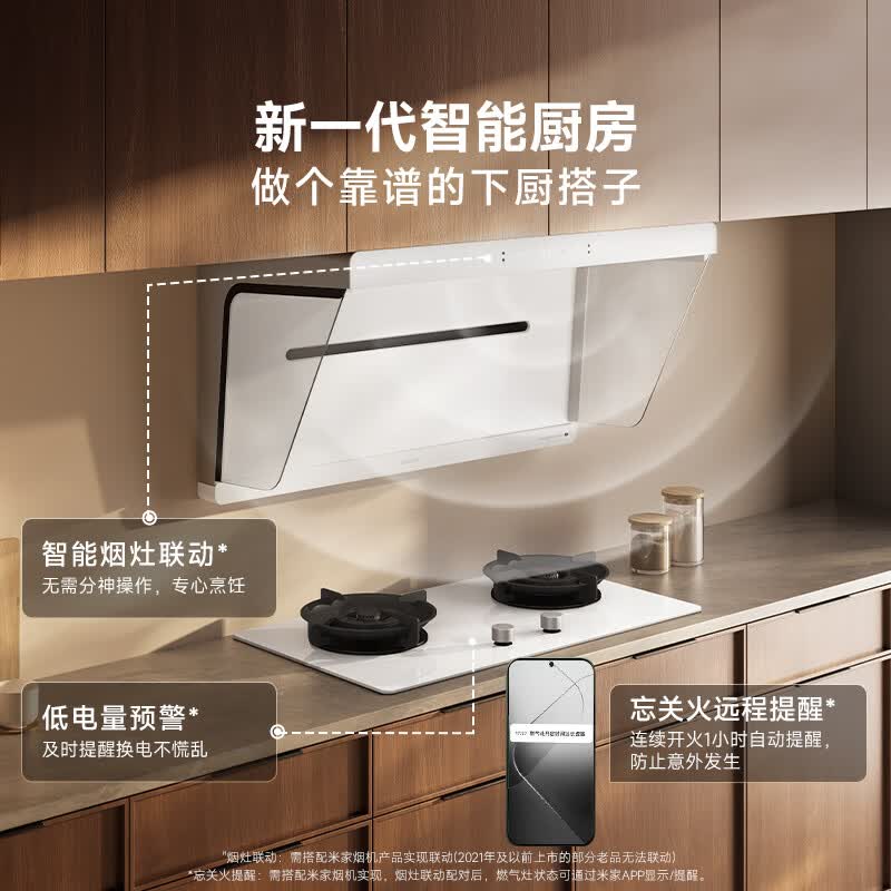 小米MJ04A天然气灶然气灶图片