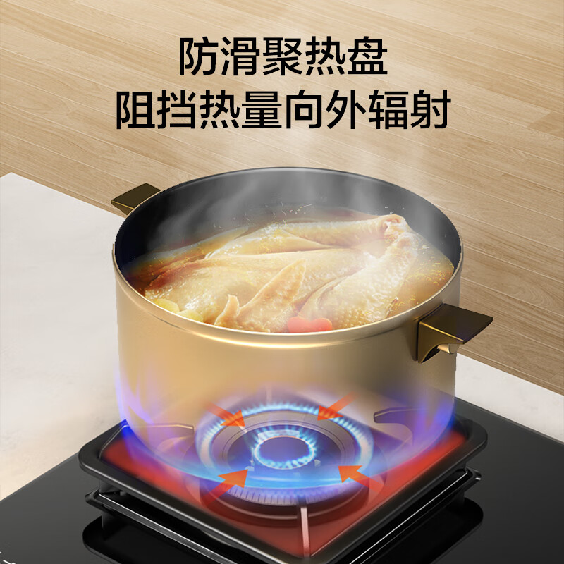 志高D09液化气灶然气灶图片