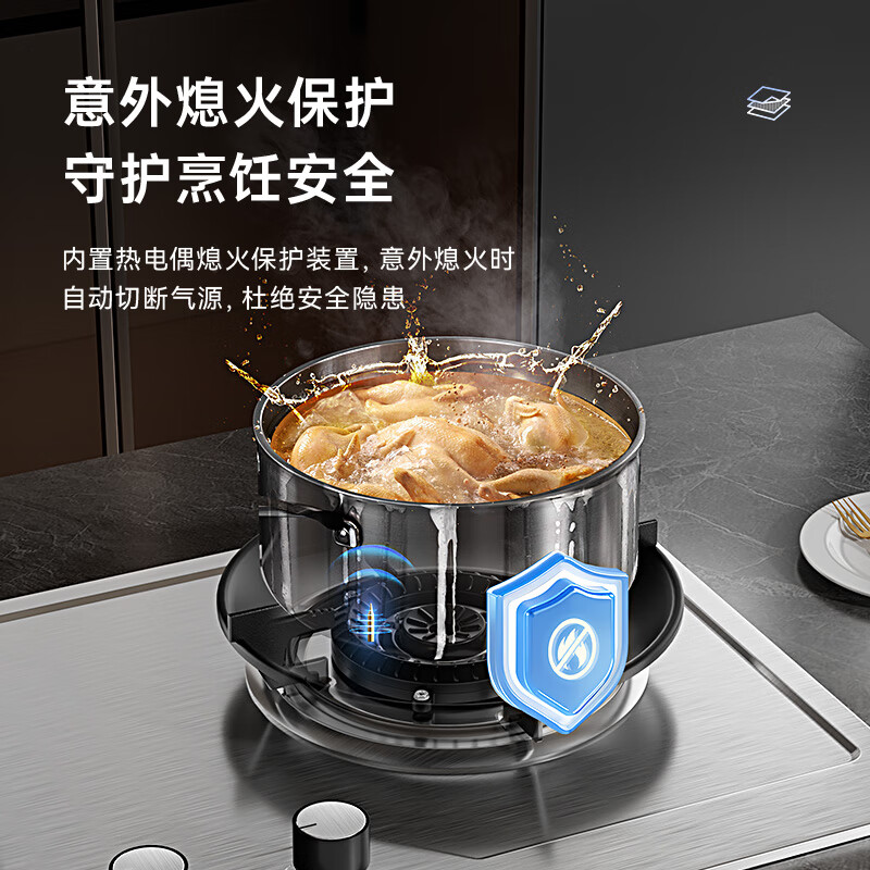 志高DB07S天然气灶然气灶图片