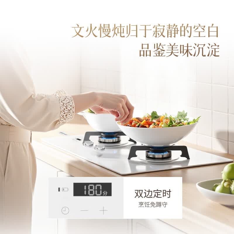 林内2ERLS1(W)天然气灶然气灶图片