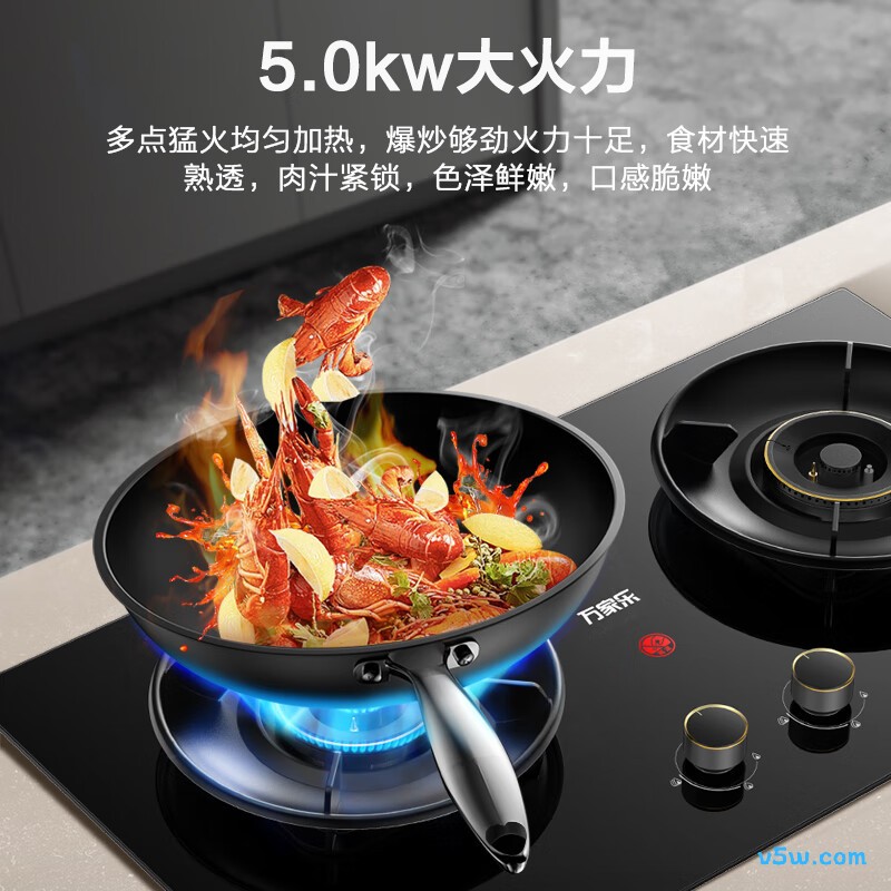万家乐AY6天然气灶然气灶图片