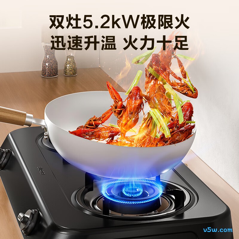 苏泊尔DT02液化气灶然气灶图片