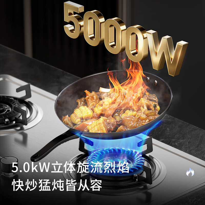 志高JZY-KN108AX液化气灶然气灶图片