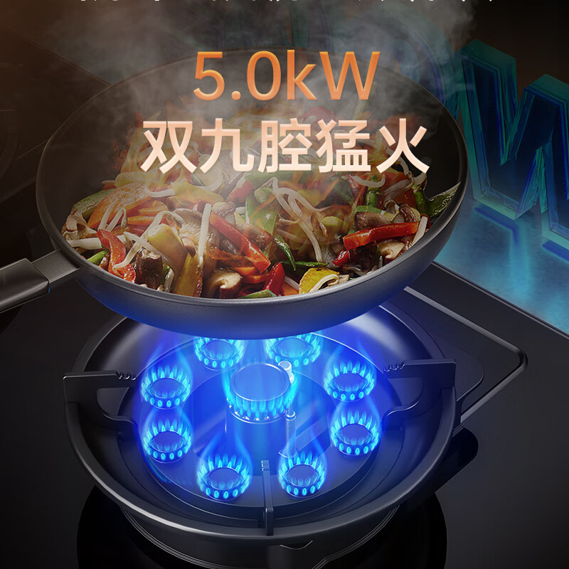 志高JZY-KN05DF液化气灶然气灶图片