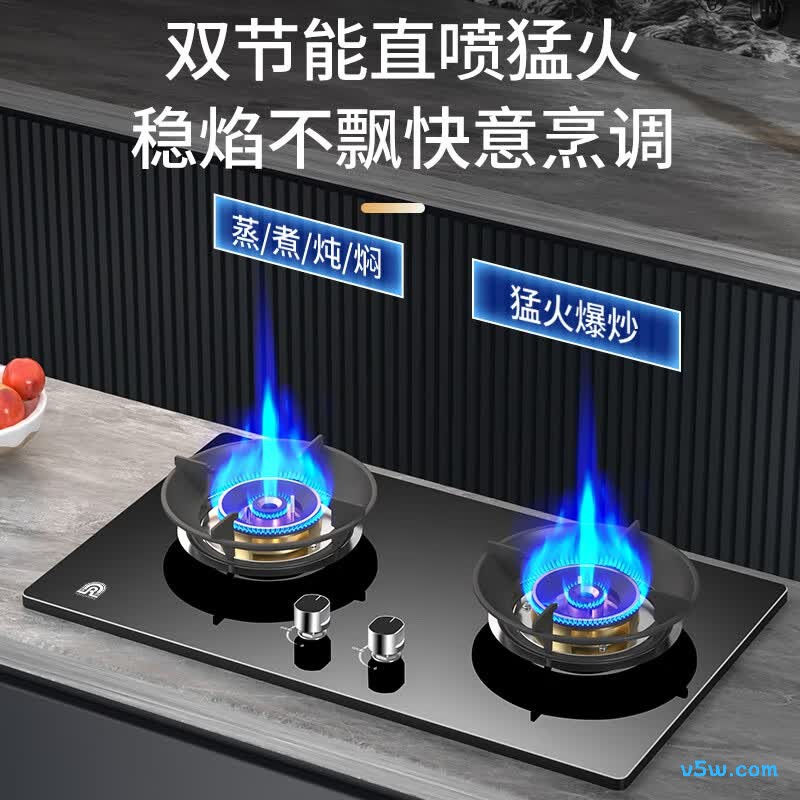 容声RLB10Y液化气灶然气灶图片