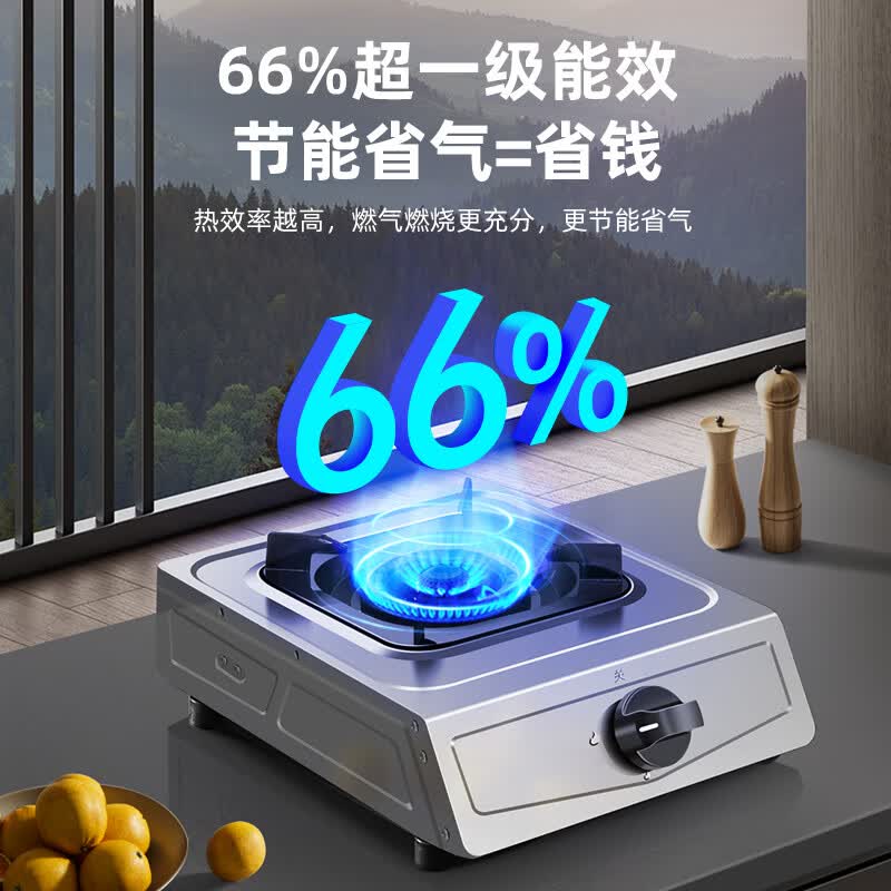 樱雪T2631液化气灶然气灶图片