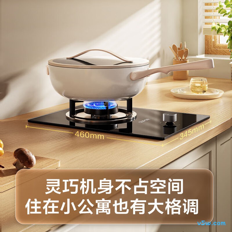 苏泊尔DBD02天然气灶然气灶图片