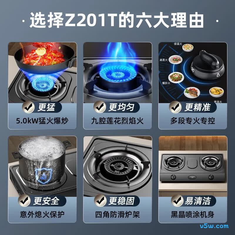 创维Z201T天然气灶然气灶图片
