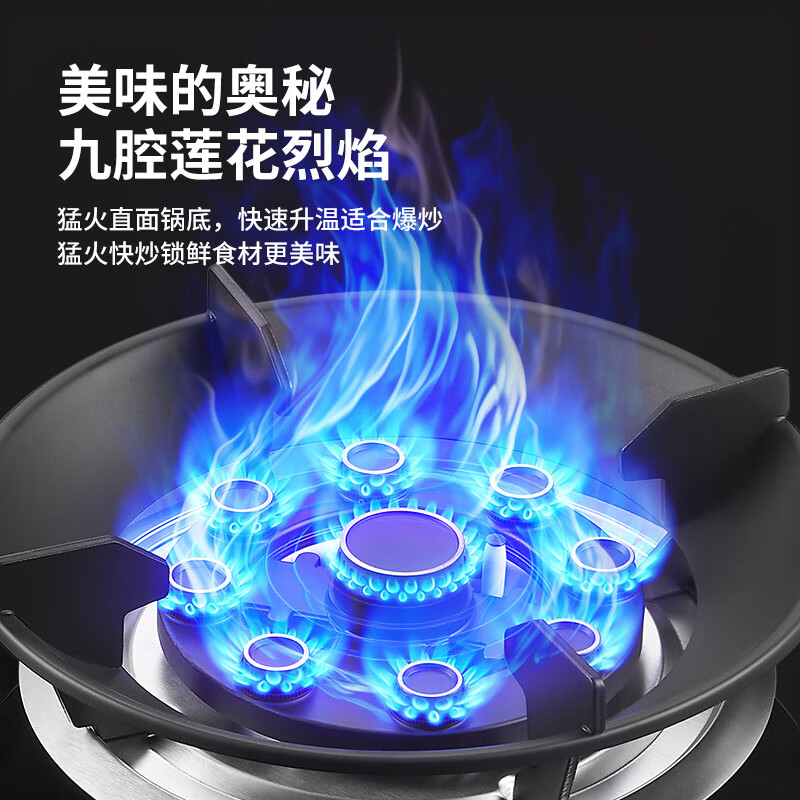 荣事达JZT-KN208J液化气灶然气灶图片