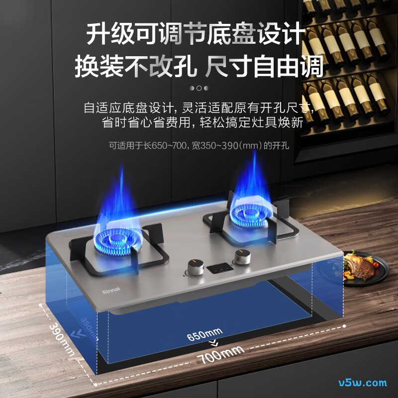 林内2E08MTX天然气灶然气灶图片