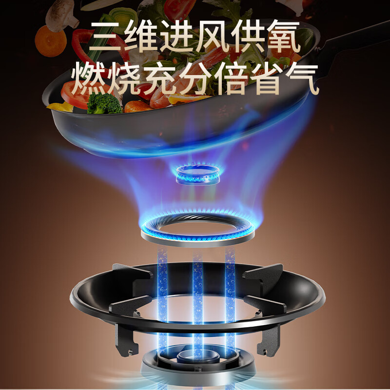 荣事达JZT-RD10B天然气灶然气灶图片