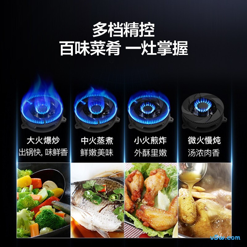 华帝i10039B液化气灶然气灶图片
