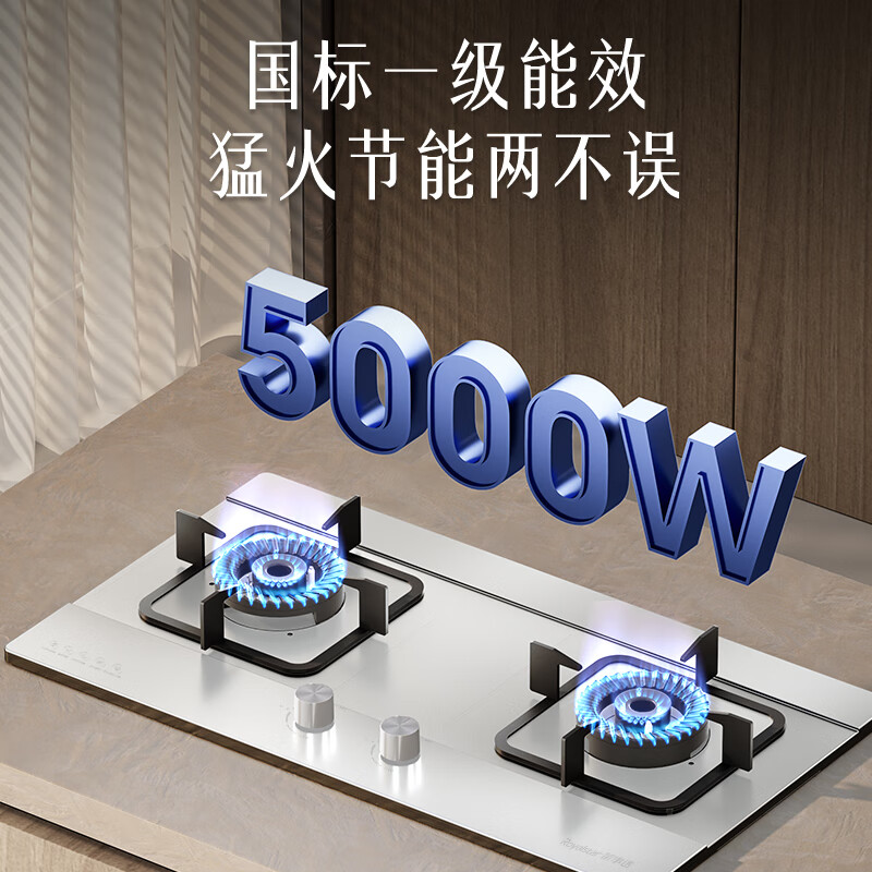 荣事达JZT-298G-3液化气灶然气灶图片