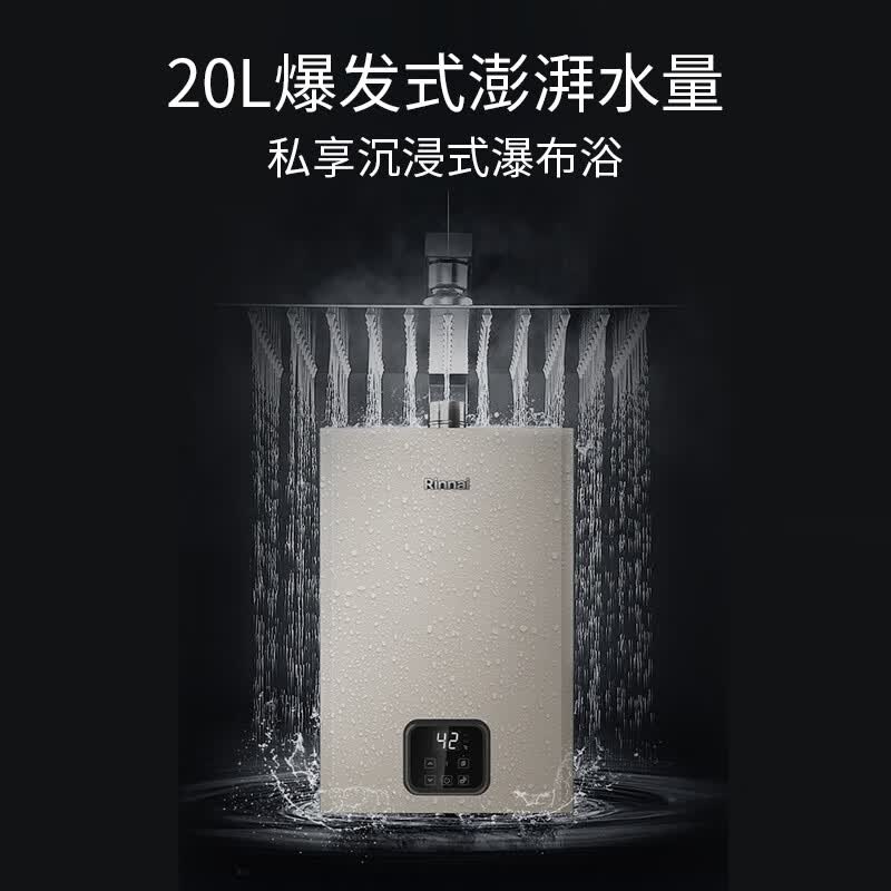 林内JSQ40-GD61R燃气热水器图片