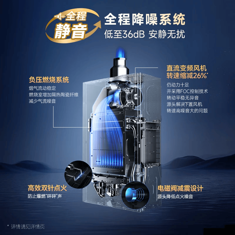 史密斯TCS5燃气热水器图片