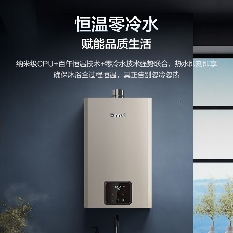 林内JSQ31-GD61R燃气热水器图片